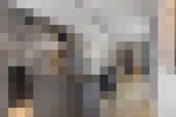 Jan Hanlostraat 3 Almere thumbnail 7