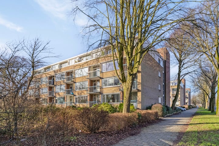 Jan Ligthartstraat 651 in Heemskerk foto