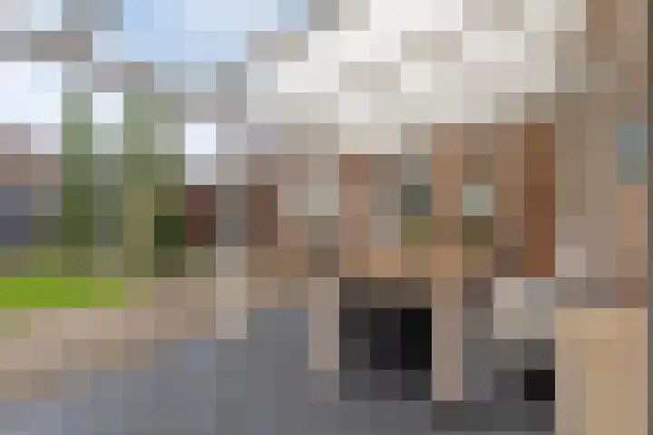 Jan Memlingstraat 6 Axel thumbnail 25