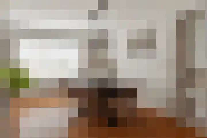 Jan Memlingstraat 6 Axel thumbnail 8