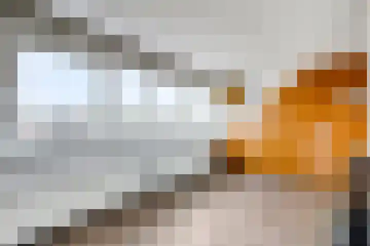Jan Persijnlaan 31 Monnickendam thumbnail 31