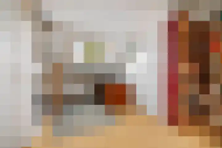Jan Schamhartstraat 38 Olst thumbnail 29