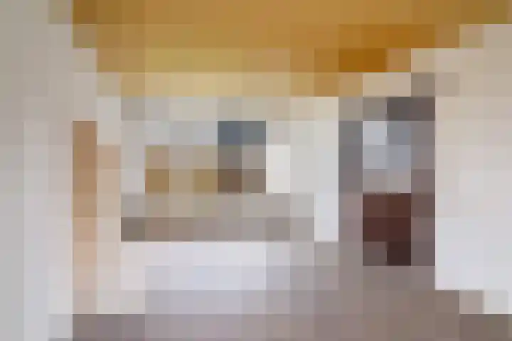 Jan Steenlaan 10 Woudenberg thumbnail 13