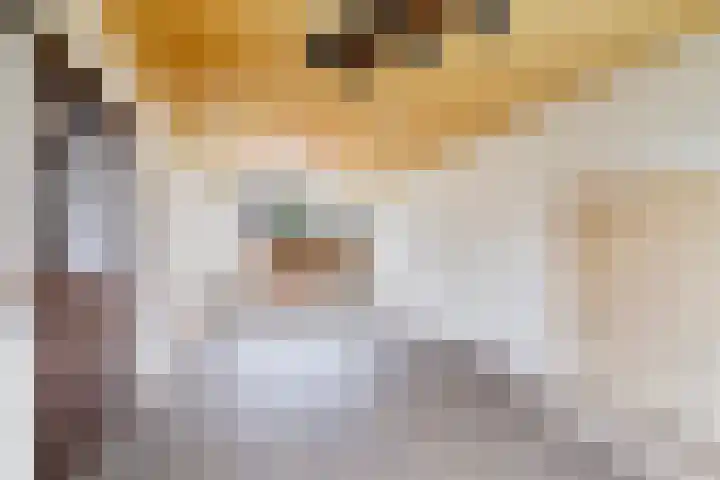 Jan Steenlaan 10 Woudenberg thumbnail 15