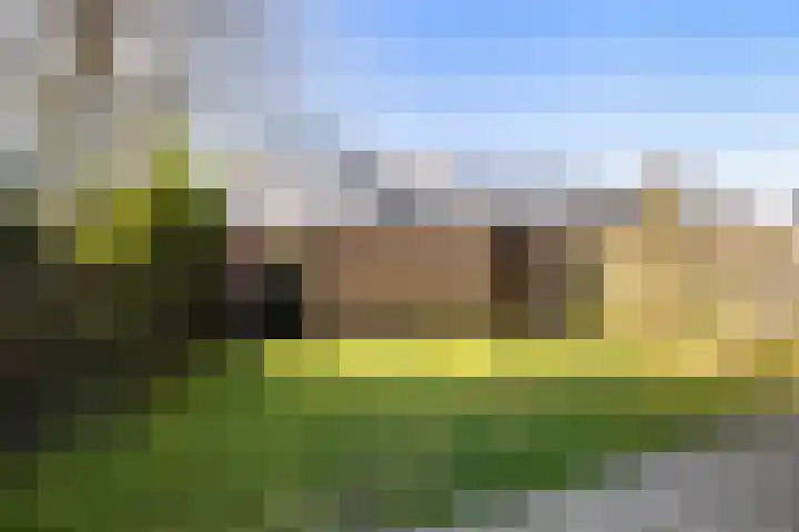 Jan Steenlaan 10 Woudenberg thumbnail 27