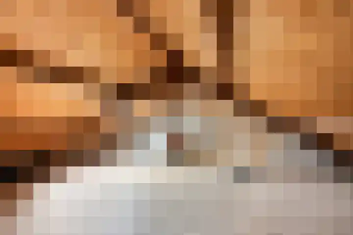 Jan Steenlaan 10 Woudenberg thumbnail 39