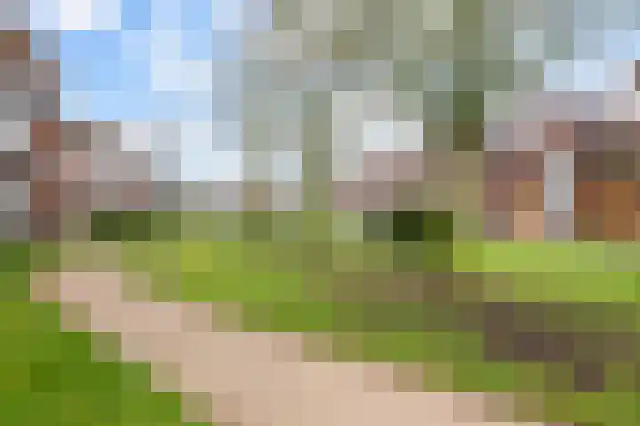 Jan Steenlaan 10 Woudenberg thumbnail 42