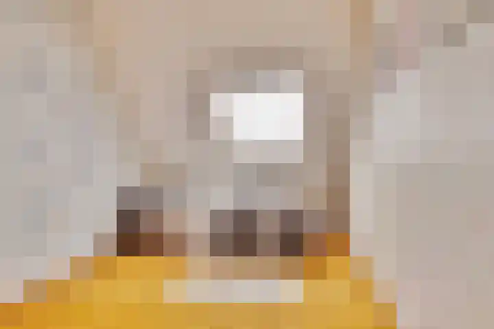 Jan Steenlaan 111 Ede thumbnail 17