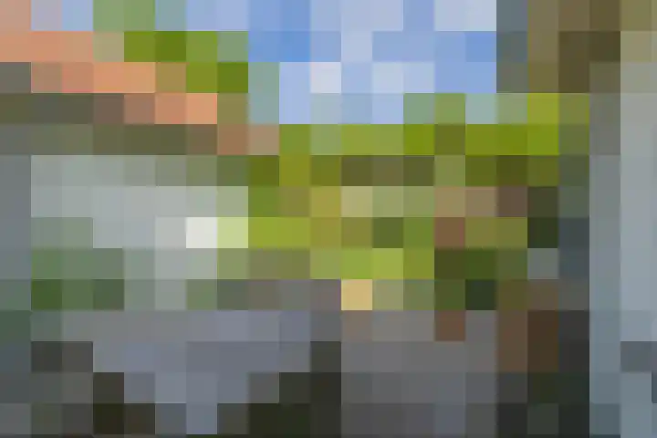 Jan Steenlaan 30 Warmond thumbnail 38