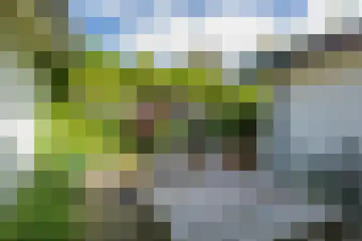 Jan Steenlaan 30 Warmond thumbnail 39