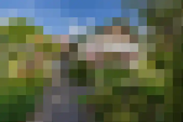 Jan Steenlaan 30 Warmond thumbnail 4