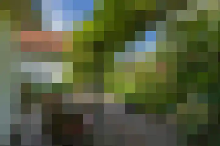 Jan Steenlaan 30 Warmond thumbnail 40