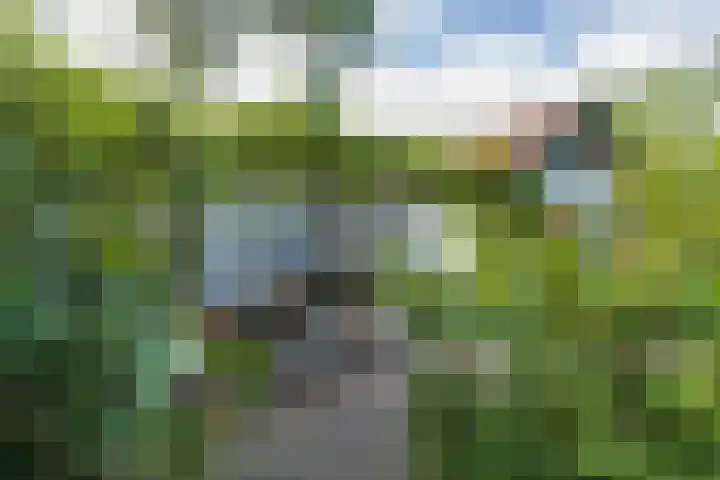 Jan Steenlaan 30 Warmond thumbnail 41