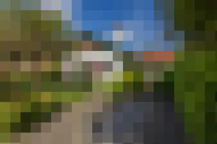 Jan Steenlaan 30 Warmond thumbnail 5