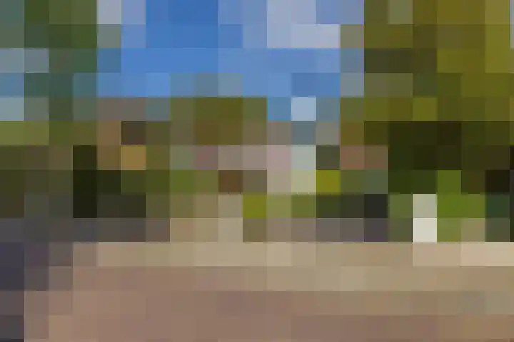 Jan Steenlaan 30 Warmond thumbnail 6