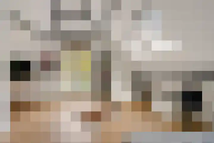 Jan Steenlaan 8 Bilthoven thumbnail 30