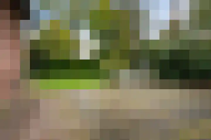Jan Steenlaan 8 Bilthoven thumbnail 35