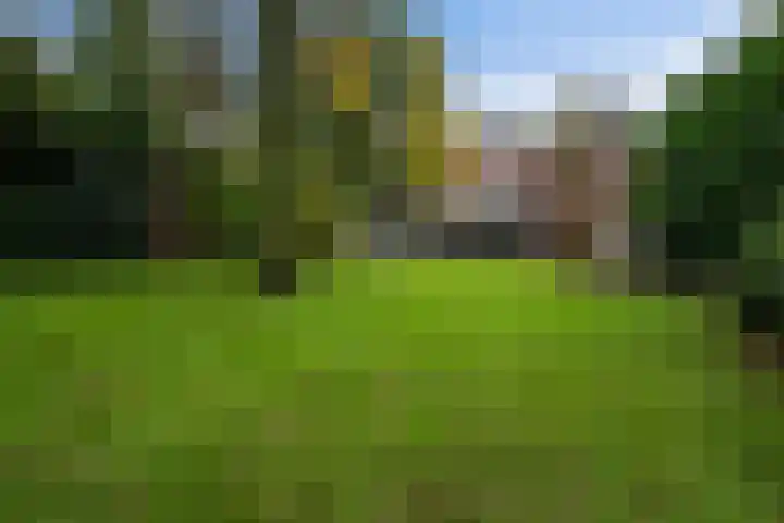 Jan Steenlaan 8 Bilthoven thumbnail 37