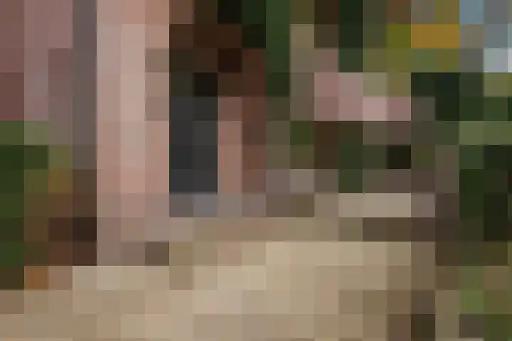 Jan Steenlaan 8 Bilthoven thumbnail 4