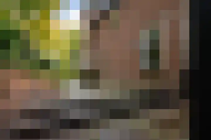 Jan Steenlaan 8 Bilthoven thumbnail 42