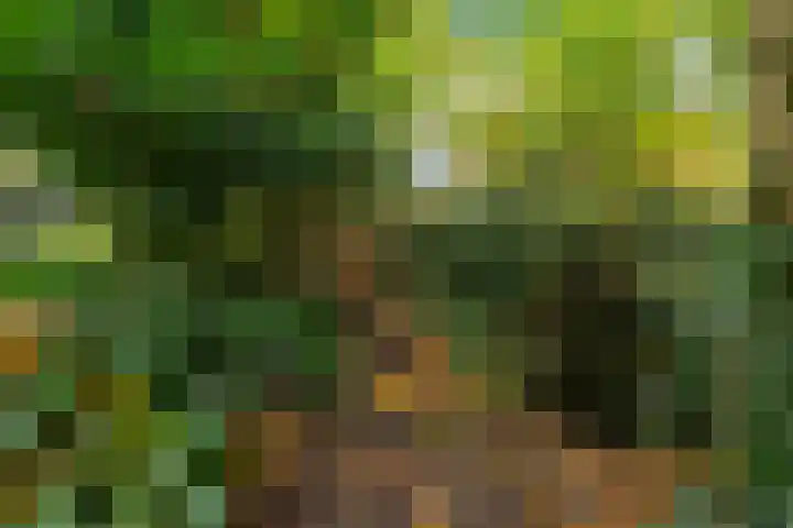 Jan Steenlaan 8 Bilthoven thumbnail 43