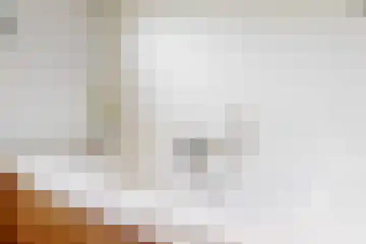 Jan Steenstraat 1 Elsloo thumbnail 15