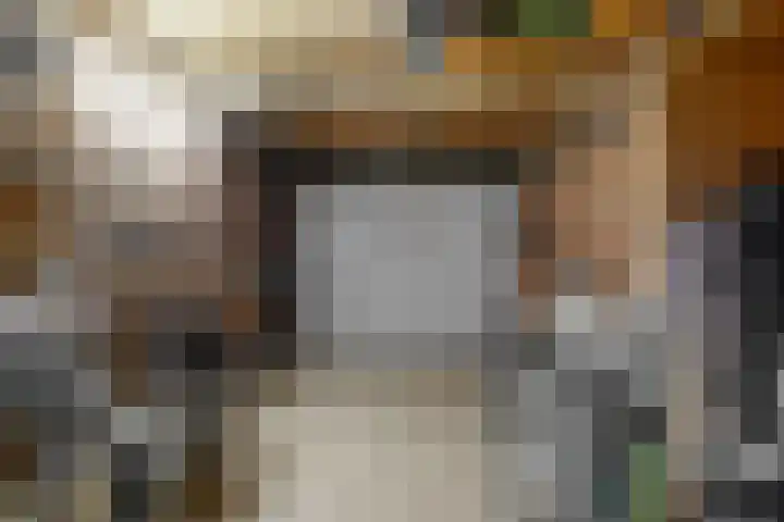 Jan Steenstraat 1 Elsloo thumbnail 31