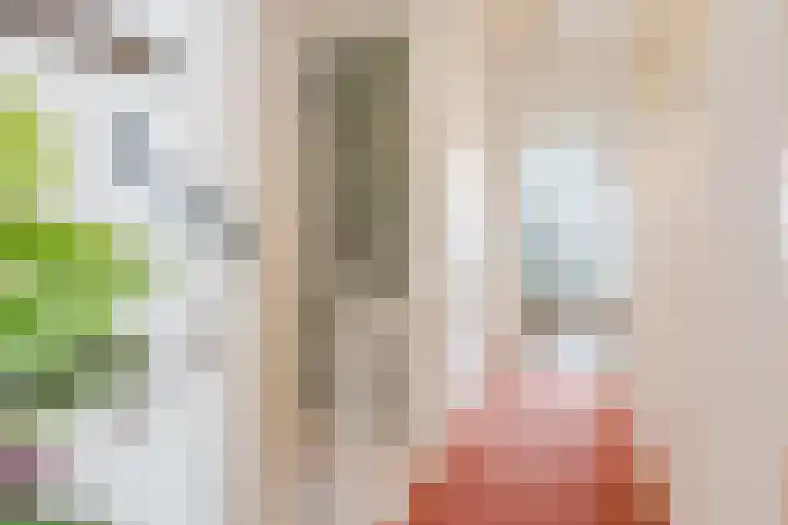 Jan Steenstraat 14 Tilburg thumbnail 13