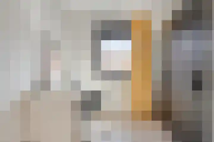 Jan Steenstraat 15 Heesch thumbnail 14