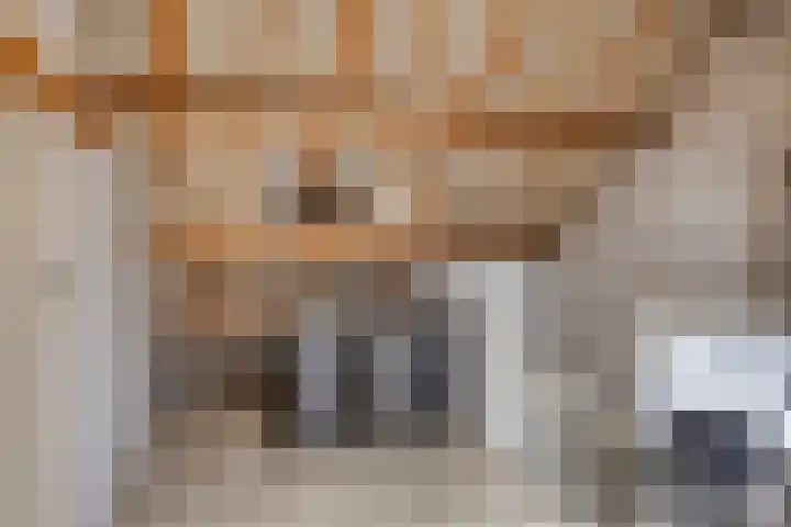 Jan Steenstraat 15 Heesch thumbnail 18