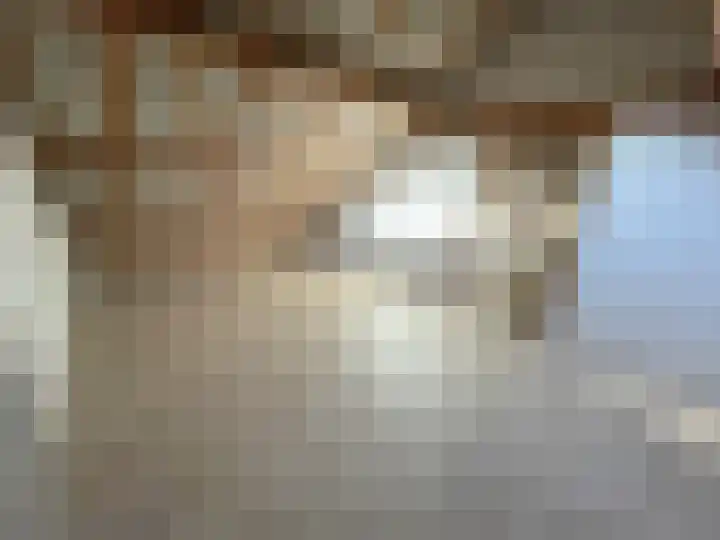 Jan Steenstraat 15 Heesch thumbnail 19