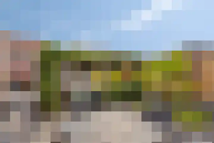 Jan Steenstraat 15 Heesch thumbnail 22