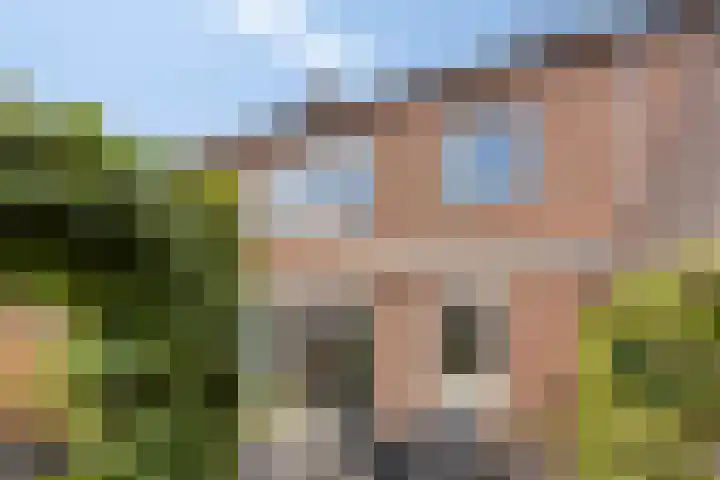 Jan Steenstraat 15 Heesch thumbnail 25