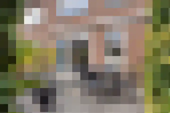 Jan Steenstraat 15 Heesch thumbnail 26