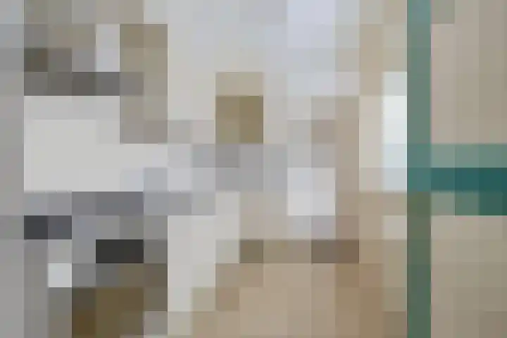 Jan Steenstraat 15 Heesch thumbnail 28