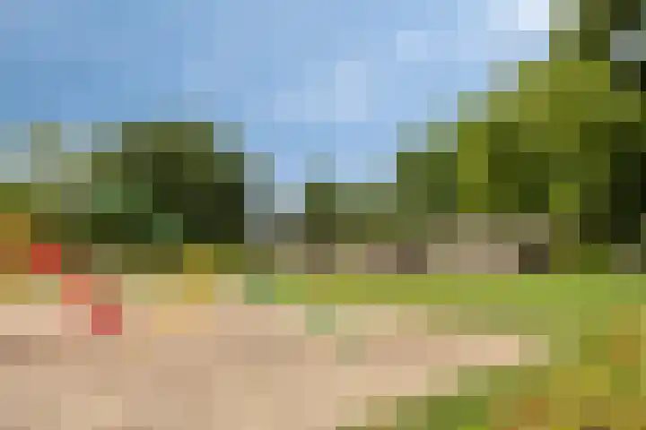 Jan Steenstraat 15 Heesch thumbnail 31