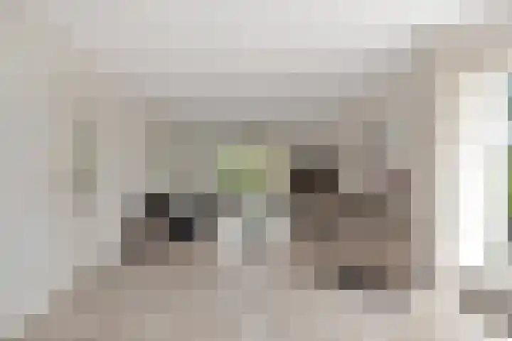 Jan Steenstraat 2 Schagen thumbnail 10