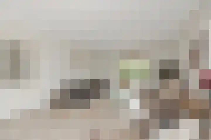 Jan Steenstraat 2 Schagen thumbnail 11