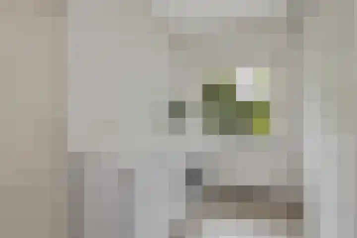 Jan Steenstraat 2 Schagen thumbnail 17
