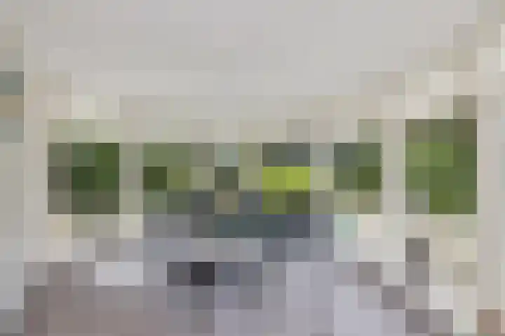 Jan Steenstraat 2 Schagen thumbnail 26