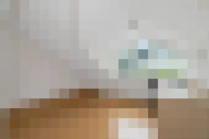 Jan Steenstraat 2 Schagen thumbnail 31