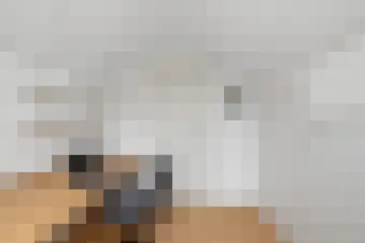 Jan Steenstraat 2 Schagen thumbnail 35