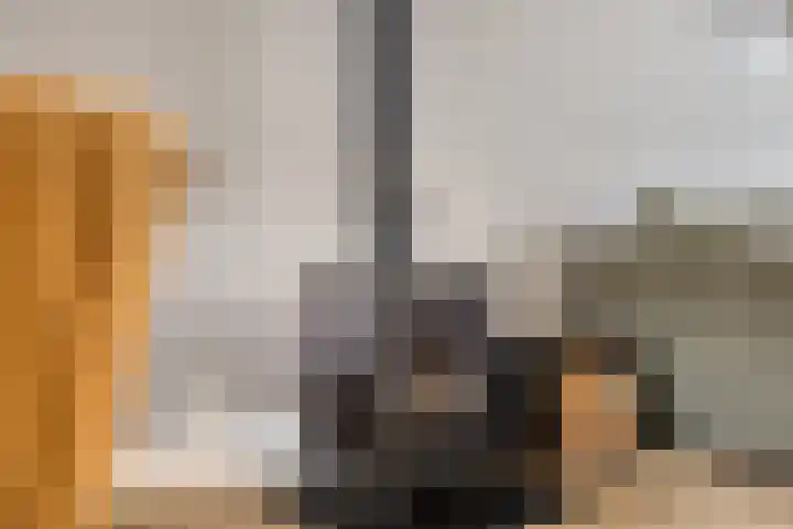 Jan Steenstraat 20 Zutphen thumbnail 11