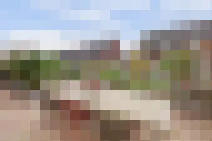 Jan Steenstraat 4 Dronten thumbnail 42