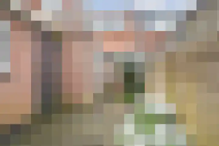 Jan Steenstraat 43 Haarlem thumbnail 15