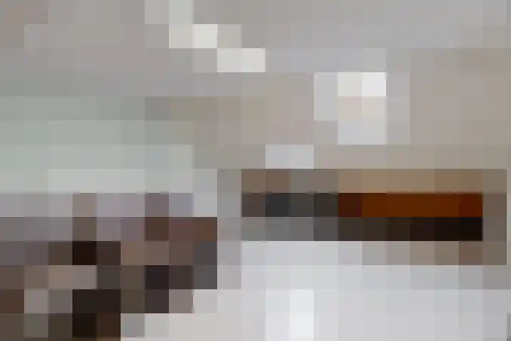Jan Steenstraat 6 Elsloo thumbnail 21
