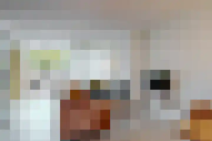 Jan Steenstraat 6 Elsloo thumbnail 7