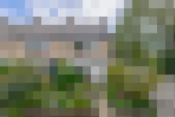 Jan Steenstraat 63 Lisse thumbnail 26