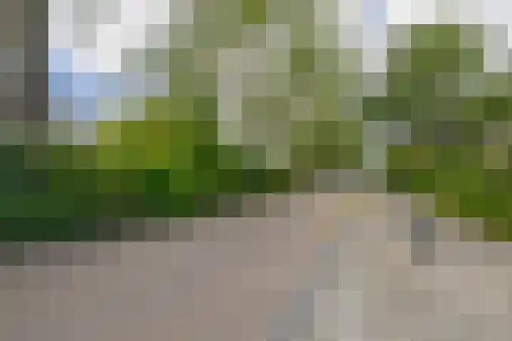 Jan Steenstraat 63 Lisse thumbnail 33