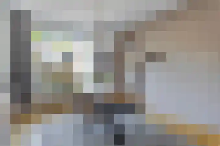 Jan Telkampstraat 9 Ruurlo thumbnail 4